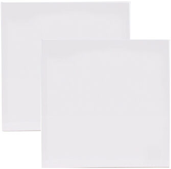Benson Schildersdoek - 2x - 40 x 40 cm - blanco canvas - katoen - 280 grams