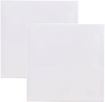 Benson Schildersdoek - 2x - 50 x 50 cm - blanco canvas - katoen - 280 grams