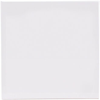 Benson Schildersdoek - 40 x 40 cm - blanco canvas - katoen - 280 grams