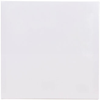 Benson Schildersdoek - 50 x 50 cm - blanco canvas - katoen - 280 grams Wit