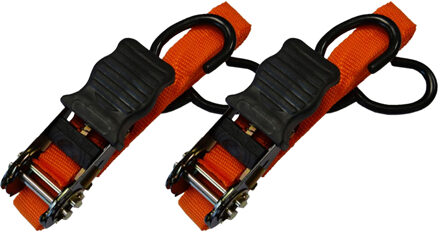 Benson Spanband profi - 2x - oranje - polyester/rubber - 4,5 m - ratel