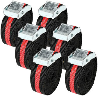 Benson Spanbanden - 6x - 2,5 meter - voor dekzeilen/aanhanger/transport bus - spanband