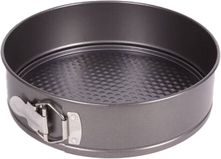 Benson Taarten bakvorm/springvorm - metaal - zilvergrijs - 24 cm