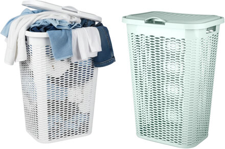 Benson Wasmand Ventilation - met deksel - 2x - wit en groen - 50 liter - 61 x 43 cm