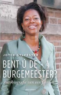 Bent ú de burgemeester? - (ISBN:9789045043319)