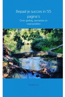 Bepaal Je Succes In 55 Pagina's