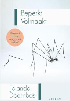 Beperkt Volmaakt - Jolanda Doornbos