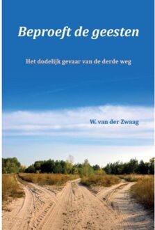 Beproeft de geesten - Boek W. van der Zwaag (9082426013)