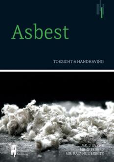 Berghauser Pont Publishing Asbest, toezicht en handhaving - Boek Tim Segers (9492952009)