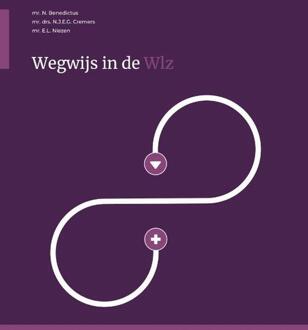 Berghauser Pont Publishing Wegwijs In De Wlz - Nicolette Cremers