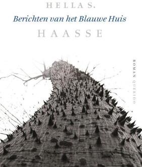 Berichten van het Blauwe Huis - Boek Hella S. Haasse (9021409836)