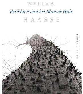 Berichten van het Blauwe Huis - Boek Hella S. Haasse (9021409836)