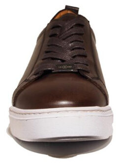 Berkelmans Benalla Bruin - 43