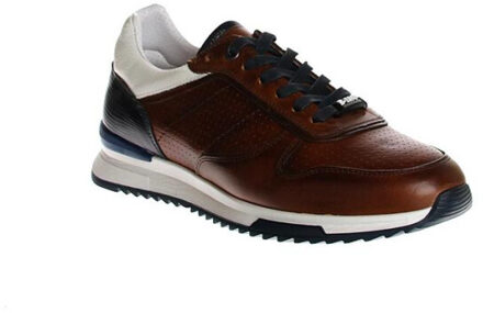 Berkelmans Oyama Klaproos - 43