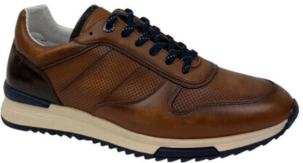 Berkelmans Oyama Klaproos - 43