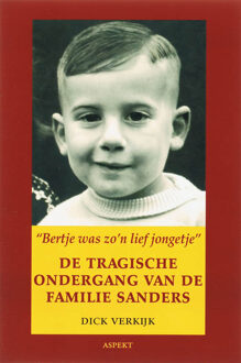 Bertje was zo'n lief jongetje - Boek D. Verkijk (9059115708)