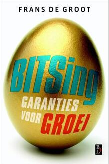 Bertram + de Leeuw Uitgevers BV Bitsing - Boek Frans de Groot (9461561210)