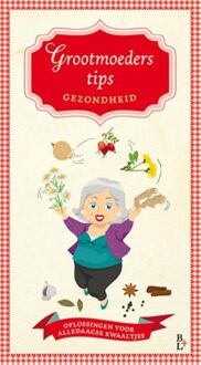 Bertram + de Leeuw Uitgevers BV Grootmoeders tips - eBook Stan van Eck (9461562144)