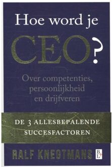 Bertram + de Leeuw Uitgevers BV Hoe word je CEO? - Boek Ralf Knegtmans (9461561504)