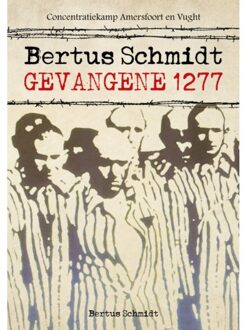 Bertus Schmidt - Bertus Schmidt