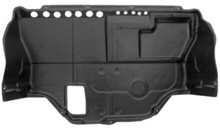 Bescherming Onder Motor