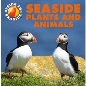 Beside The Seaside: Seaside Plants And Animals - Beside The Seaside - Clare Hibbert