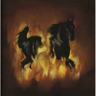 Besnard Lakes - Are The Dark Horse