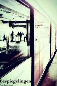 Bespiegelingen - Boek Peter Bouwknegt (9402142886)