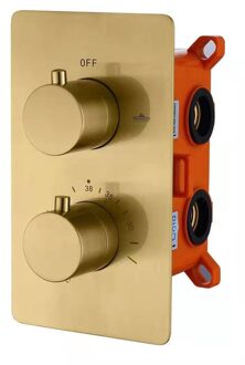 Best Design Douchekraan Nancy Inbouw Thermostatisch Rond Mat Goud 2 Greeps