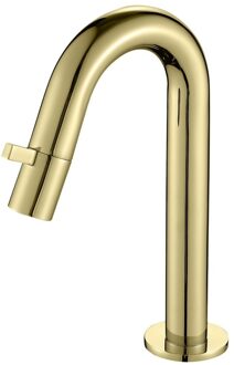 Best Design Nancy Macine toiletkraan keramisch binnenwerk 21cm goud mat