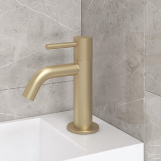 Best Design Toiletkraan Best Design High End Mat Goud