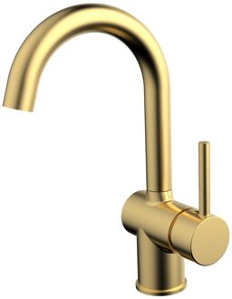 Best Design Wastafelmengkraan Best Design Nancy Ansbach Draaibare Uitloop Messing Mat Goud