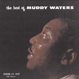 Best Of - Muddy Waters