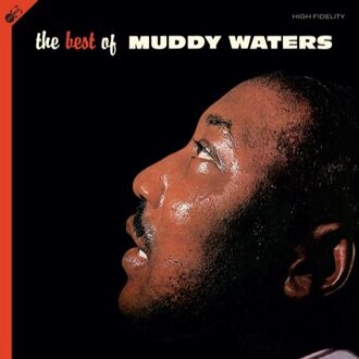 Best Of - Muddy Waters