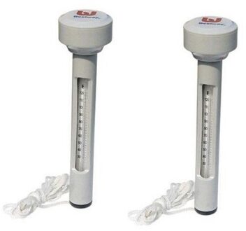 Bestway Drijvende zwembad thermometers 2 stuks - Zwembadonderhoud