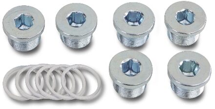Beta 6-delig set carterpluggen en opvulringen 1495T M13X1,25 - 014950503
