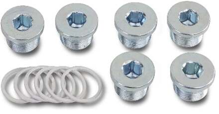 Beta 6-delig set carterpluggen en opvulringen 1495T M22X1,50 - 014950522