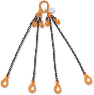 Beta 8098Sl D10-2-Ketting Leng 4 Sprong M2 - 080980252