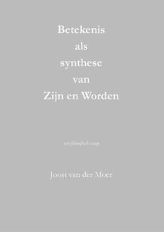 Betekenis als synthese van Zijn en Worden -  Joost van der Moer (ISBN: 9789464913897)