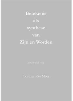 Betekenis Als Synthese Van Zijn En Worden - Joost van der Moer