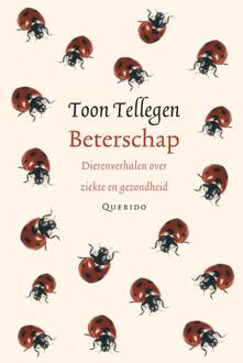 Beterschap - Boek Toon Tellegen (9021434768)