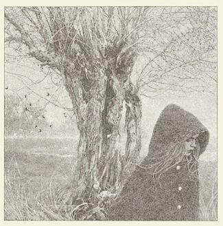 Between The Earth And Sky