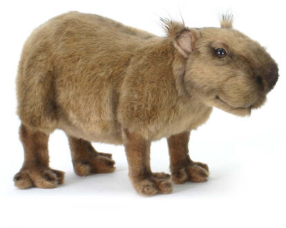 Beverrat Pluche, 33 Cm, Hansa