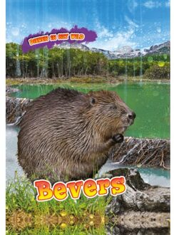 Bevers - Dieren In Het Wild - Rachel Koestler-Grack
