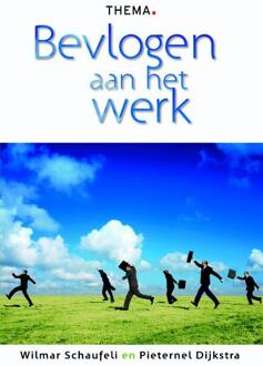 Bevlogen aan het werk - Boek Wilmar Schaufeli (905871330X)