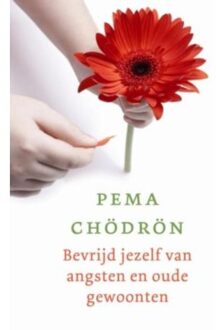 Bevrijd jezelf van angsten en oude gewoonten - Boek Pema Chödrön (9025960278)