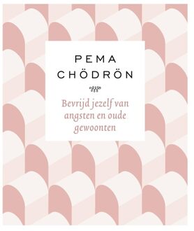 Bevrijd jezelf van angsten en oude gewoonten - eBook Pema Chödrön (9025906206)