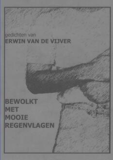 Bewolkt met mooie regenvlagen - Boek Erwin Van De Vijver (9402126783)