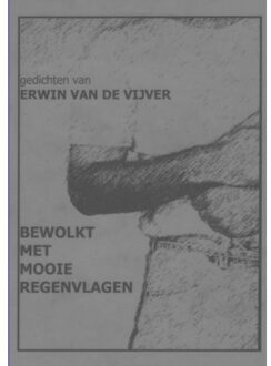Bewolkt met mooie regenvlagen - Boek Erwin Van De Vijver (9402126783)
