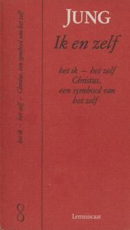 Bewust en onbewust - Boek Carl Gustav Jung (9060694880)